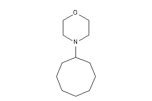 4-cyclooctylmorpholine