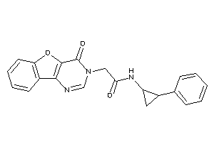 2-(4-ketobenzofuro[3,2-d]pyrimidin-3-yl)-N-(2-phenylcyclopropyl)acetamide