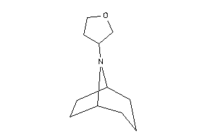 8-tetrahydrofuran-3-yl-8-azabicyclo[3.2.1]octane