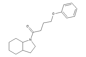 1-(2,3,3a,4,5,6,7,7a-octahydroindol-1-yl)-4-phenoxy-butan-1-one