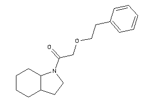 1-(2,3,3a,4,5,6,7,7a-octahydroindol-1-yl)-2-phenethyloxy-ethanone