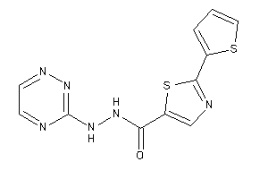 2-(2-thienyl)-N'-(1,2,4-triazin-3-yl)thiazole-5-carbohydrazide