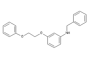 Benzyl-[3-(2-phenoxyethoxy)phenyl]amine