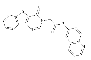 2-(4-ketobenzofuro[3,2-d]pyrimidin-3-yl)acetic Acid 6-quinolyl Ester