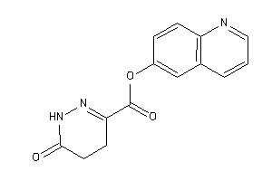 6-keto-4,5-dihydro-1H-pyridazine-3-carboxylic Acid 6-quinolyl Ester