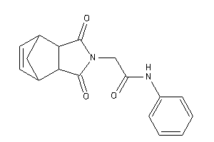 2-(diketoBLAHyl)-N-phenyl-acetamide