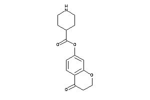 Isonipecot (4-ketochroman-7-yl) Ester