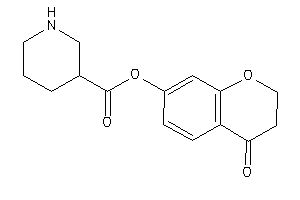 Nipecot (4-ketochroman-7-yl) Ester