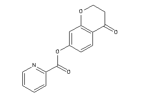 Picolin (4-ketochroman-7-yl) Ester