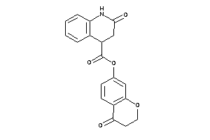 2-keto-3,4-dihydro-1H-quinoline-4-carboxylic Acid (4-ketochroman-7-yl) Ester