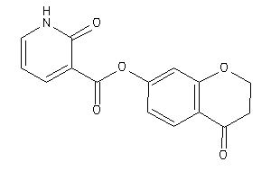 2-keto-1H-pyridine-3-carboxylic Acid (4-ketochroman-7-yl) Ester