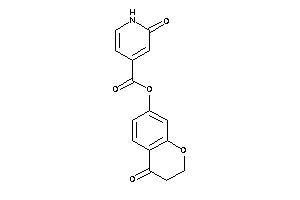 2-keto-1H-pyridine-4-carboxylic Acid (4-ketochroman-7-yl) Ester