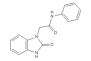 2-(2-keto-3H-benzimidazol-1-yl)-N-phenyl-acetamide