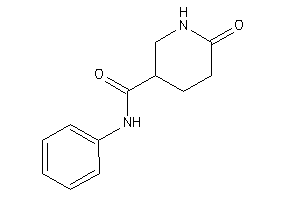 6-keto-N-phenyl-nipecotamide