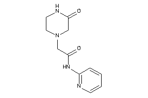 2-(3-ketopiperazino)-N-(2-pyridyl)acetamide