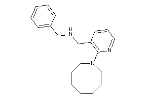 [2-(azocan-1-yl)-3-pyridyl]methyl-benzyl-amine