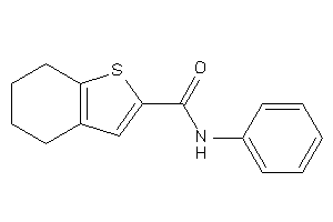 Image of N-phenyl-4,5,6,7-tetrahydrobenzothiophene-2-carboxamide