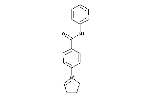 N-phenyl-4-(1-pyrrolin-1-ium-1-yl)benzamide