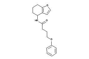 4-phenoxy-N-(4,5,6,7-tetrahydrobenzofuran-4-yl)butyramide