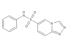 N-phenyl-[1,2,4]triazolo[4,3-a]pyridine-6-sulfonamide