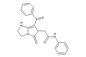 2-(7-benzoyl-5-keto-1,2,3,6-tetrahydropyrrolo[1,2-a]imidazol-6-yl)-N-phenyl-acetamide