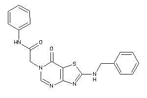 Image of 2-[2-(benzylamino)-7-keto-thiazolo[4,5-d]pyrimidin-6-yl]-N-phenyl-acetamide