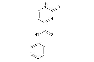 2-keto-N-phenyl-1H-pyrimidine-4-carboxamide