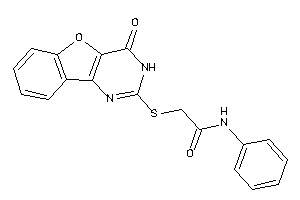 2-[(4-keto-3H-benzofuro[3,2-d]pyrimidin-2-yl)thio]-N-phenyl-acetamide