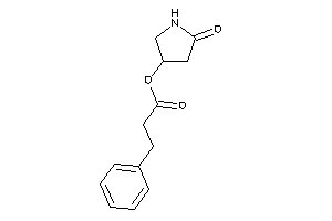 3-phenylpropionic Acid (5-ketopyrrolidin-3-yl) Ester