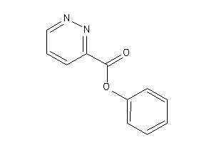 Pyridazine-3-carboxylic Acid Phenyl Ester