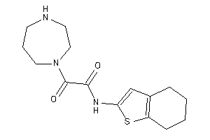 2-(1,4-diazepan-1-yl)-2-keto-N-(4,5,6,7-tetrahydrobenzothiophen-2-yl)acetamide