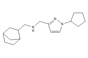 (1-cyclopentylpyrazol-3-yl)methyl-(2-norbornylmethyl)amine