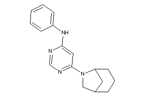 [6-(6-azabicyclo[3.2.1]octan-6-yl)pyrimidin-4-yl]-phenyl-amine