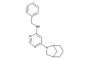 [6-(6-azabicyclo[3.2.1]octan-6-yl)pyrimidin-4-yl]-benzyl-amine