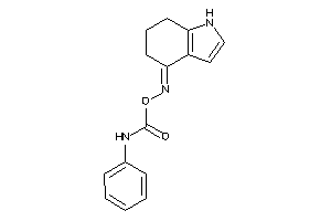 N-phenylcarbamic Acid (1,5,6,7-tetrahydroindol-4-ylideneamino) Ester