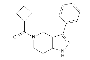 Cyclobutyl-(3-phenyl-1,4,6,7-tetrahydropyrazolo[4,3-c]pyridin-5-yl)methanone