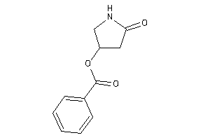 Benzoic Acid (5-ketopyrrolidin-3-yl) Ester