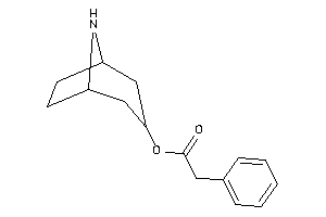 2-phenylacetic Acid 8-azabicyclo[3.2.1]octan-3-yl Ester