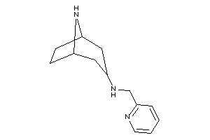 8-azabicyclo[3.2.1]octan-3-yl(2-pyridylmethyl)amine