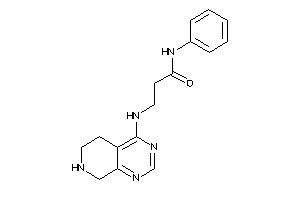 N-phenyl-3-(5,6,7,8-tetrahydropyrido[3,4-d]pyrimidin-4-ylamino)propionamide