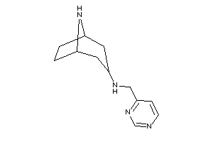 8-azabicyclo[3.2.1]octan-3-yl(4-pyrimidylmethyl)amine