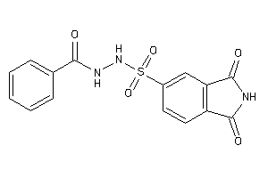 N'-(1,3-diketoisoindolin-5-yl)sulfonylbenzohydrazide