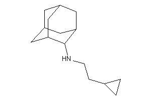 2-adamantyl(2-cyclopropylethyl)amine