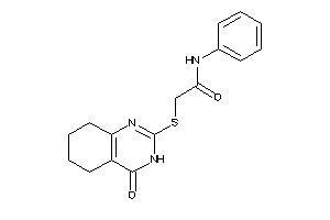 2-[(4-keto-5,6,7,8-tetrahydro-3H-quinazolin-2-yl)thio]-N-phenyl-acetamide