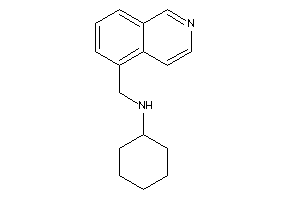 Cyclohexyl(5-isoquinolylmethyl)amine