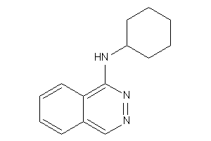 Cyclohexyl(phthalazin-1-yl)amine