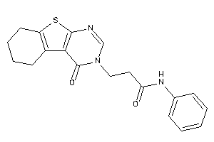 3-(4-keto-5,6,7,8-tetrahydrobenzothiopheno[2,3-d]pyrimidin-3-yl)-N-phenyl-propionamide