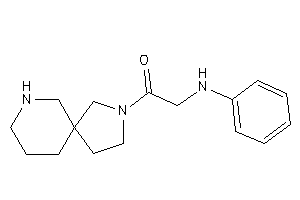 2-anilino-1-(3,7-diazaspiro[4.5]decan-3-yl)ethanone