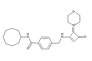 N-cyclooctyl-4-[[(3-keto-4-morpholin-4-ium-4-ylidene-cyclobuten-1-yl)amino]methyl]benzamide