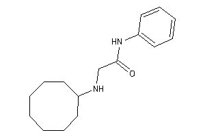 2-(cyclooctylamino)-N-phenyl-acetamide